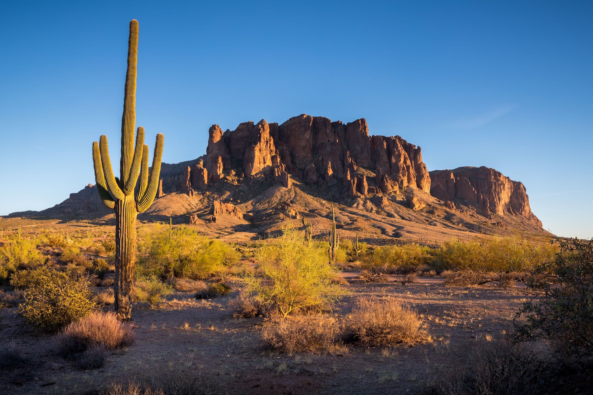 How to Form a Nonprofit Organization in 8 Steps in Arizona