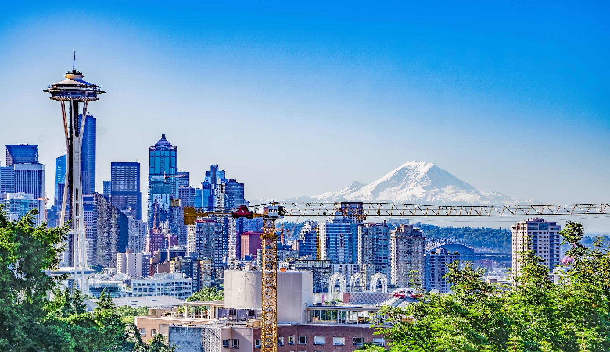 How to Form a Nonprofit Organization in 8 Steps in Washington